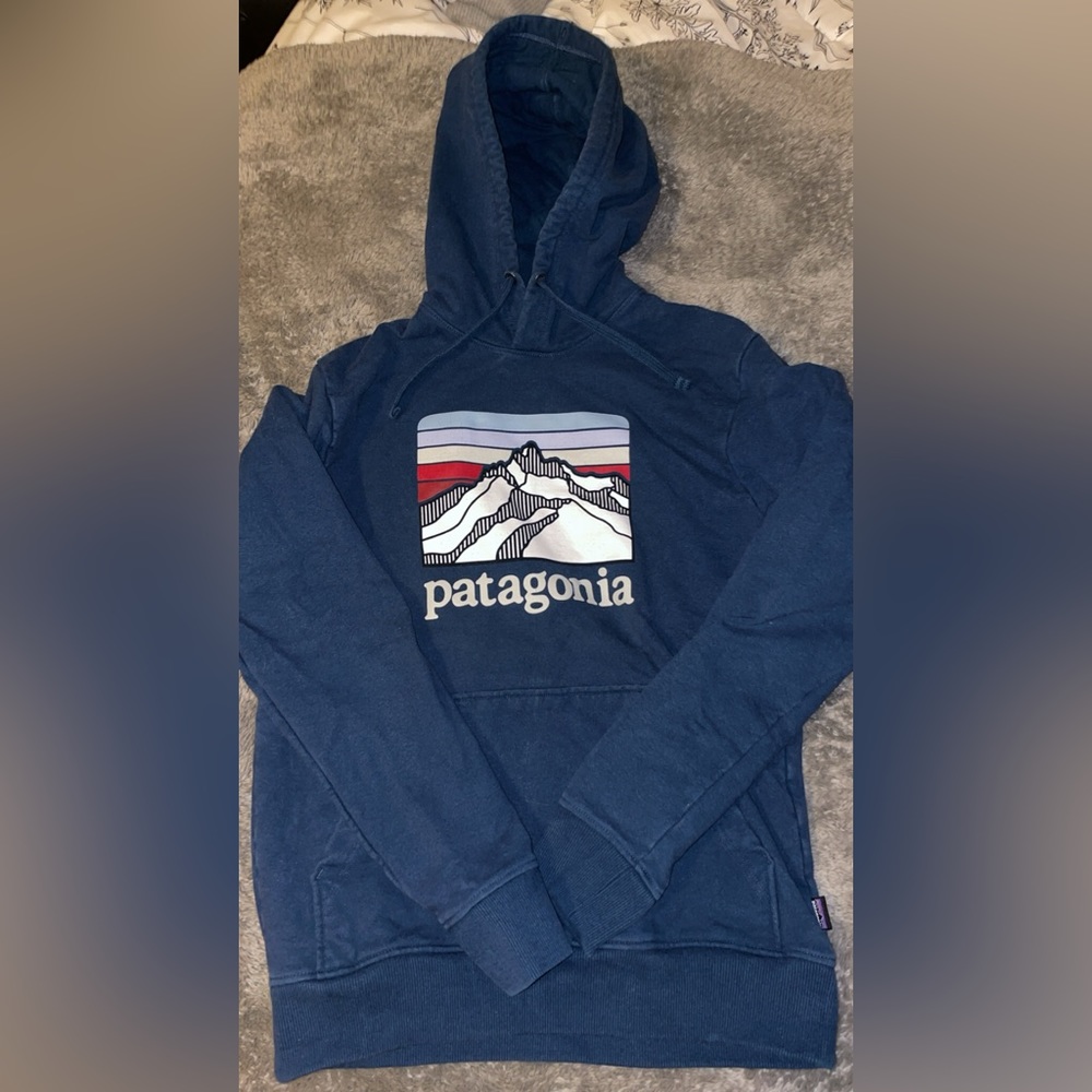 patagonia hoodie